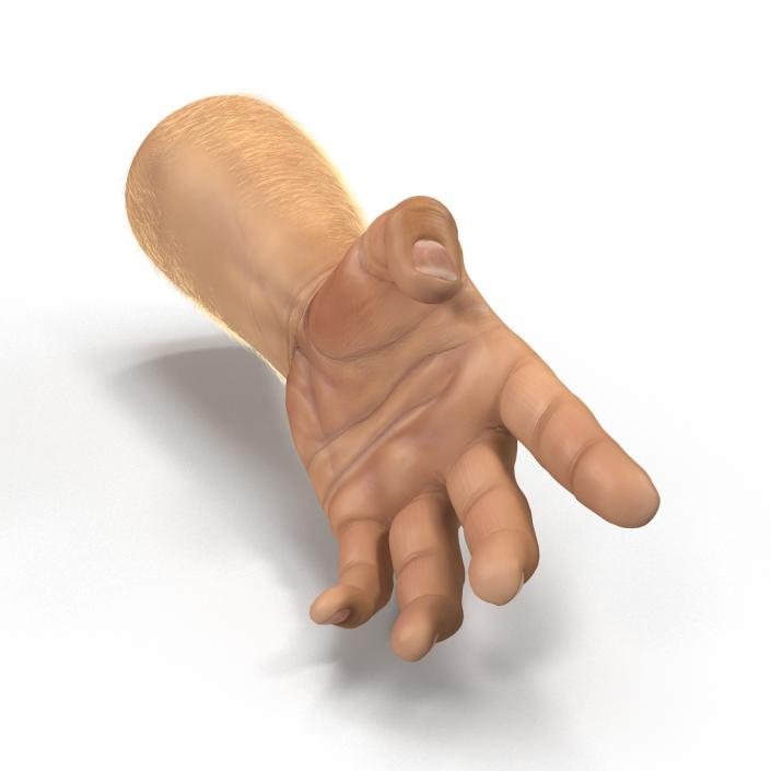 Man Hands 2 with Fur Rigged 3D