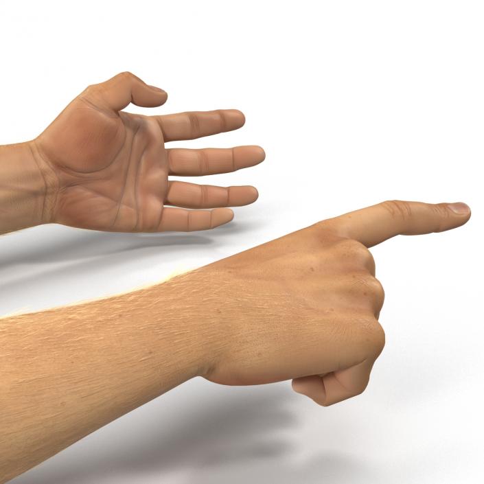 Man Hands 2 with Fur Rigged 3D