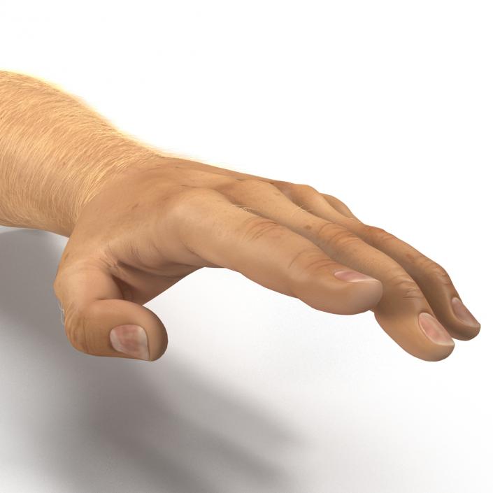 Man Hands 2 with Fur Rigged 3D