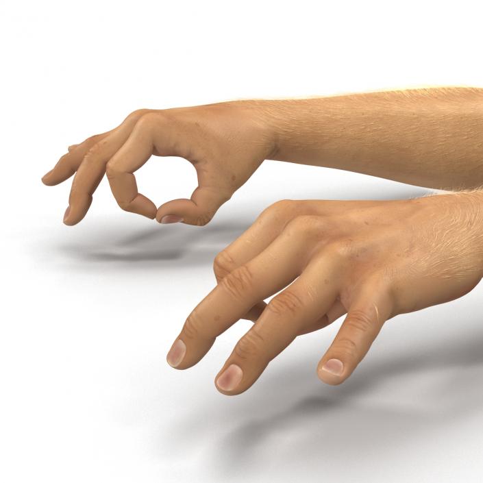 Man Hands 2 with Fur Rigged 3D