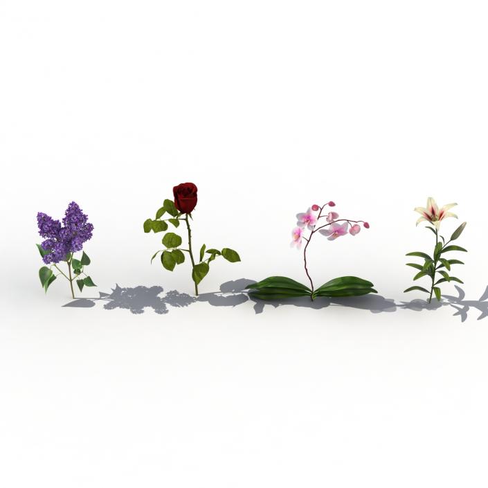 3D model Flowers Collection 2