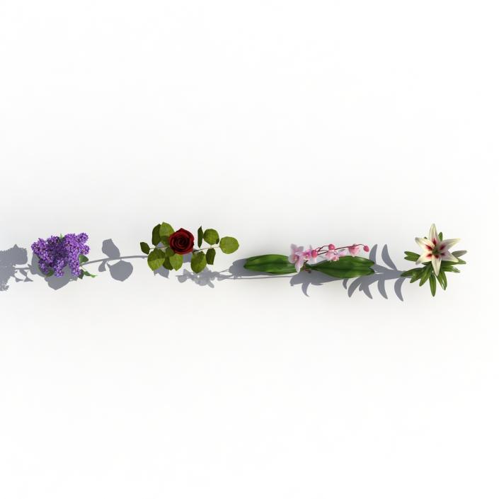 3D model Flowers Collection 2