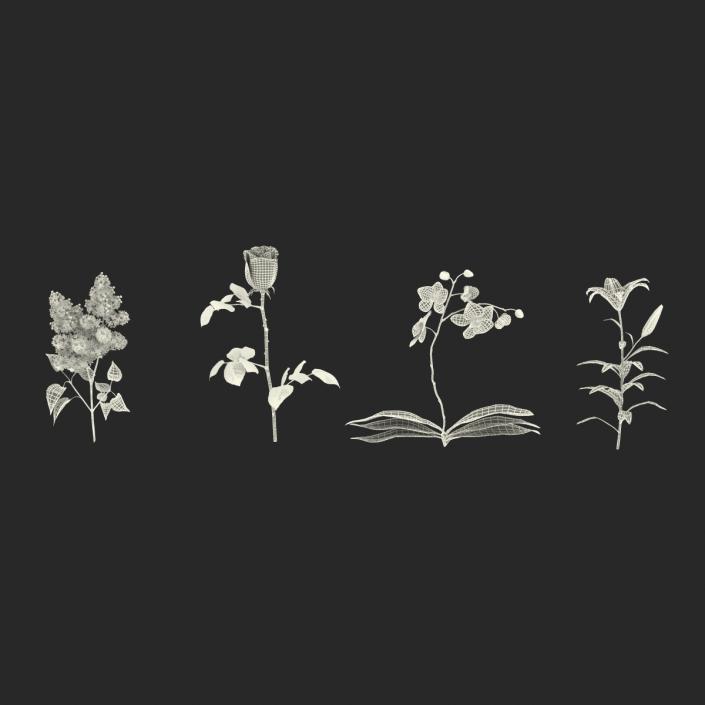 3D model Flowers Collection 2