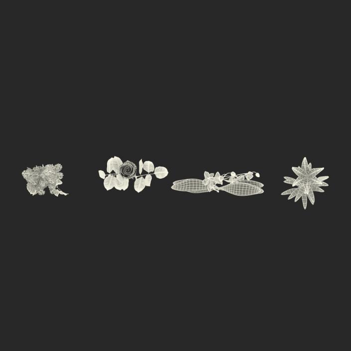 3D model Flowers Collection 2