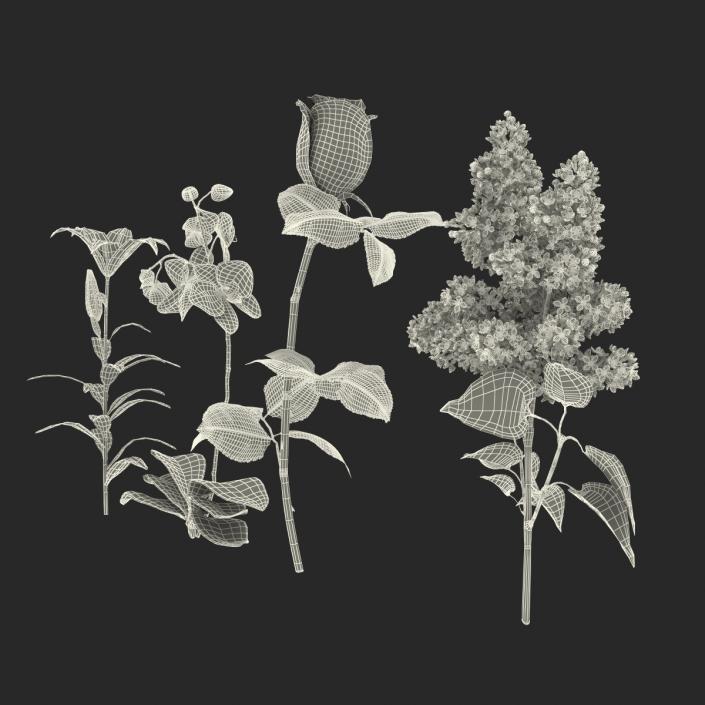 3D model Flowers Collection 2