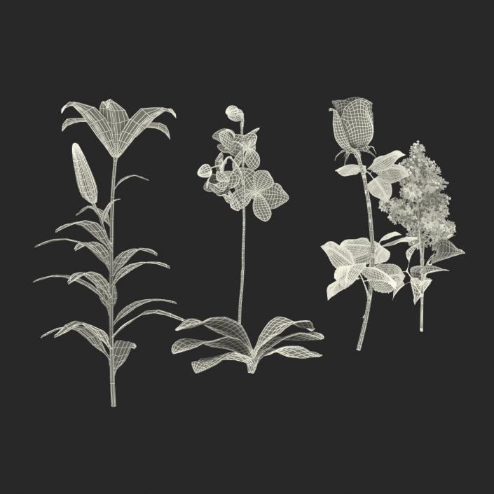 3D model Flowers Collection 2