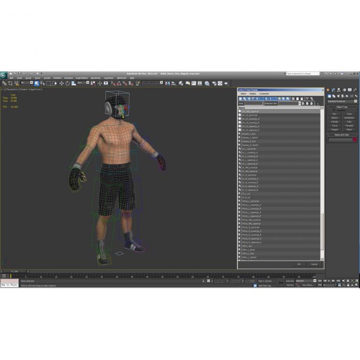 Adult Boxer Man Rigged 3D