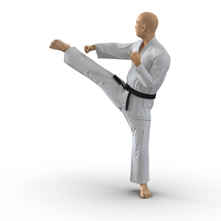 3D model Japanese Karate Fighter Pose 2