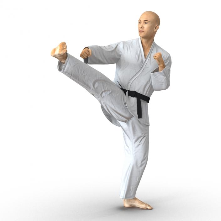 3D model Japanese Karate Fighter Pose 2