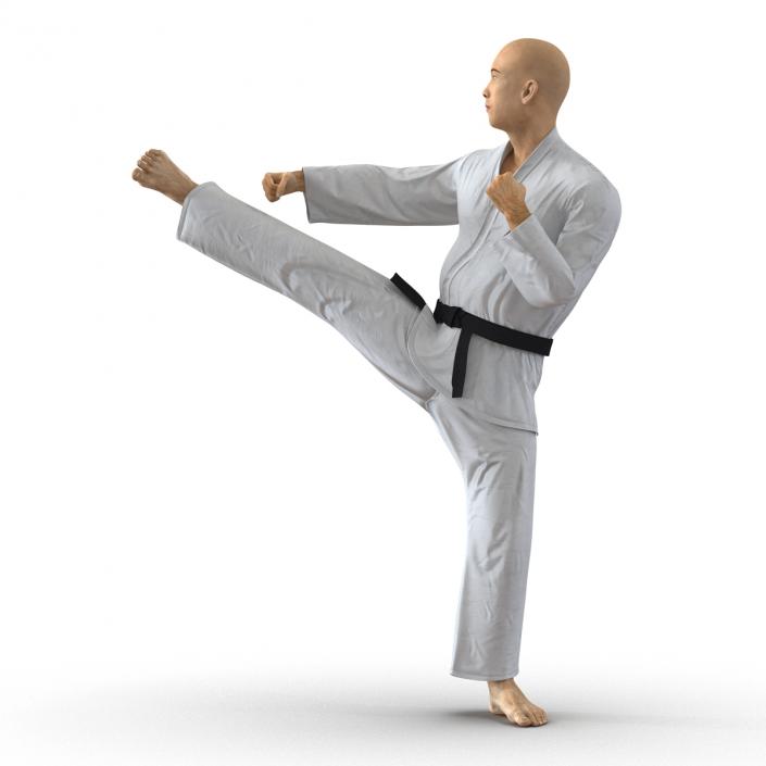 3D model Japanese Karate Fighter Pose 2