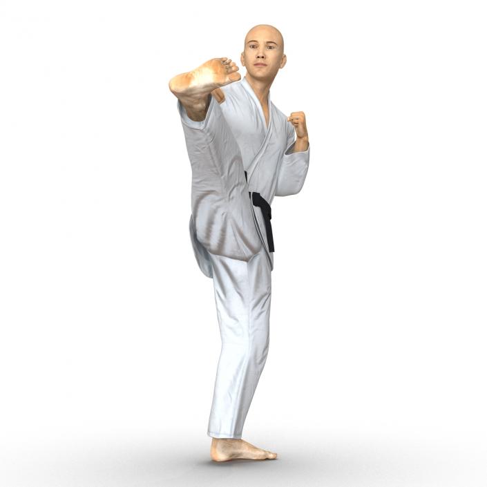 3D model Japanese Karate Fighter Pose 2