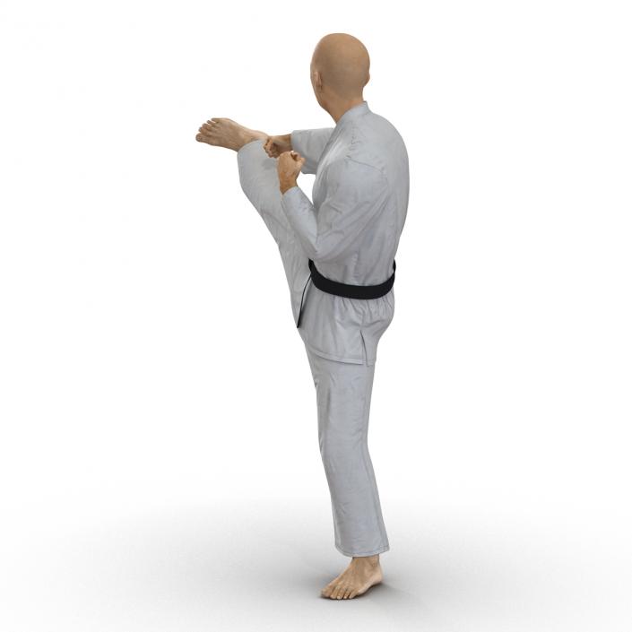 3D model Japanese Karate Fighter Pose 2