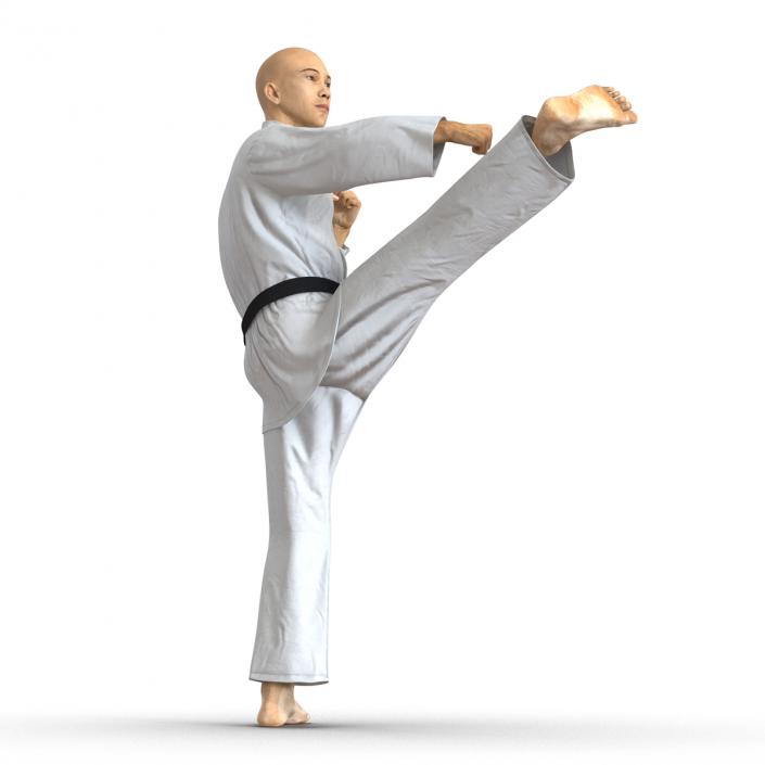 3D model Japanese Karate Fighter Pose 2