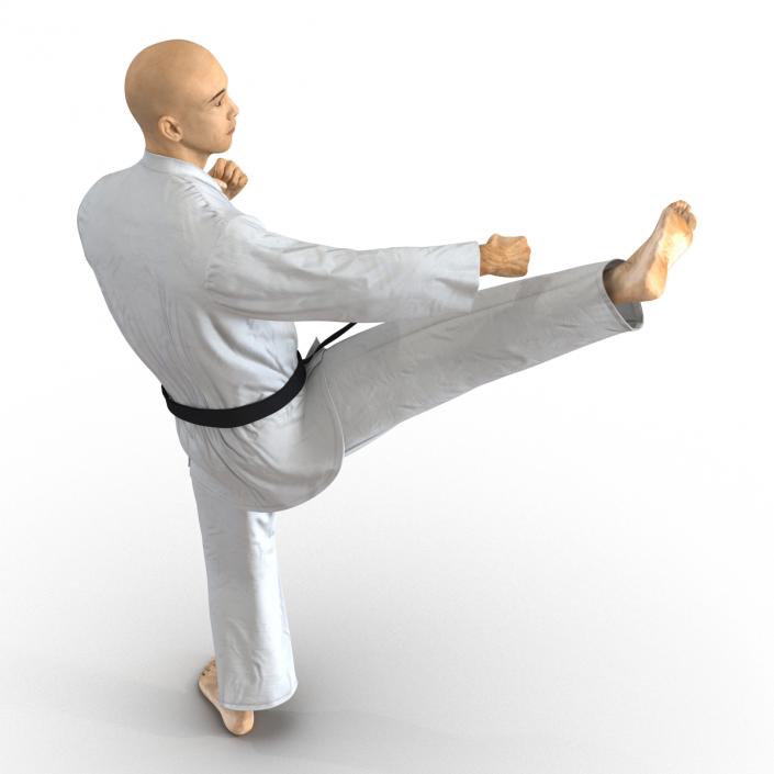 3D model Japanese Karate Fighter Pose 2