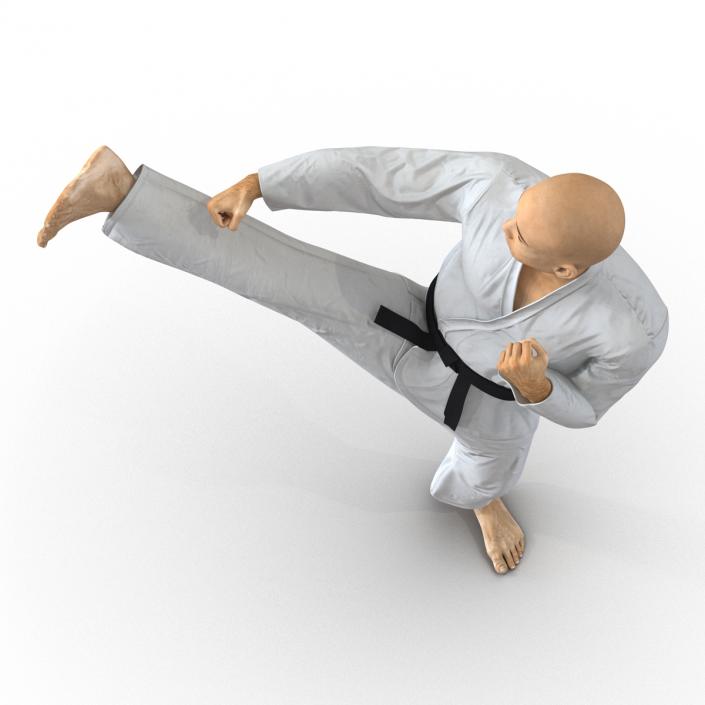 3D model Japanese Karate Fighter Pose 2