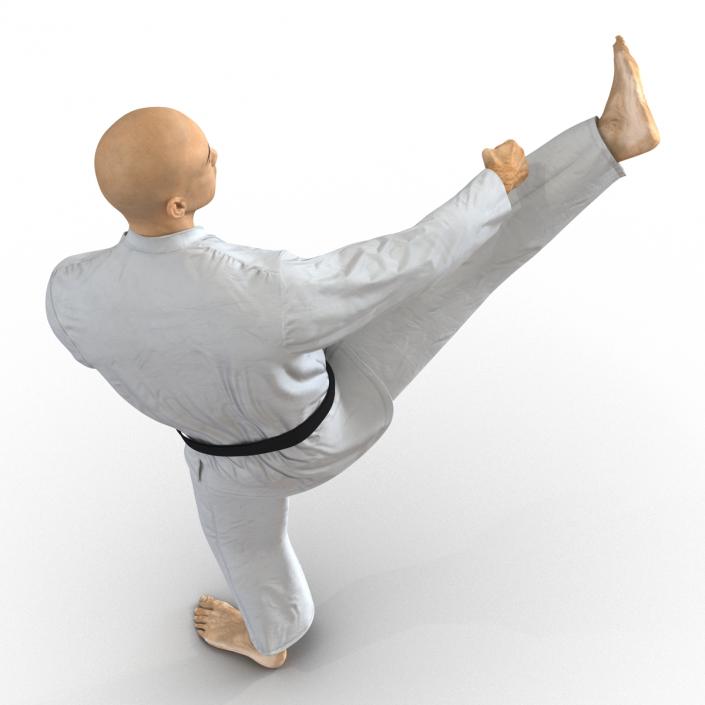 3D model Japanese Karate Fighter Pose 2