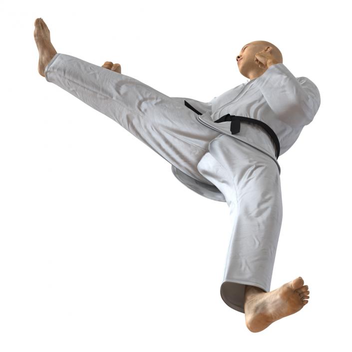 3D model Japanese Karate Fighter Pose 2