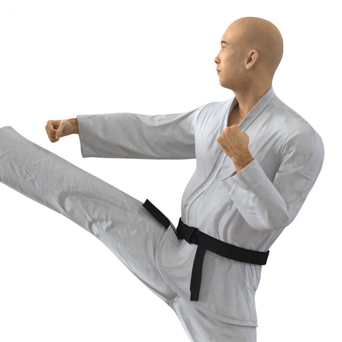 3D model Japanese Karate Fighter Pose 2