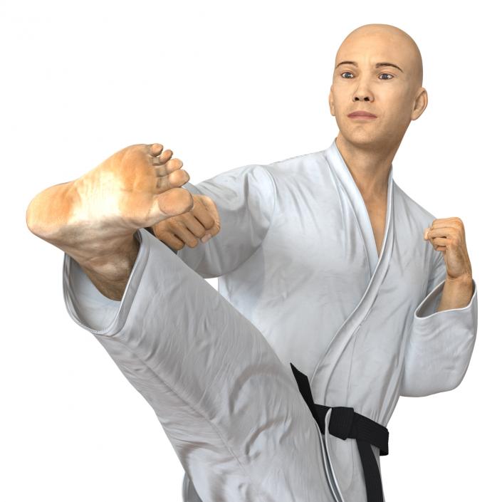 3D model Japanese Karate Fighter Pose 2