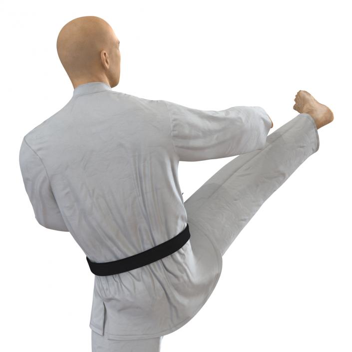 3D model Japanese Karate Fighter Pose 2