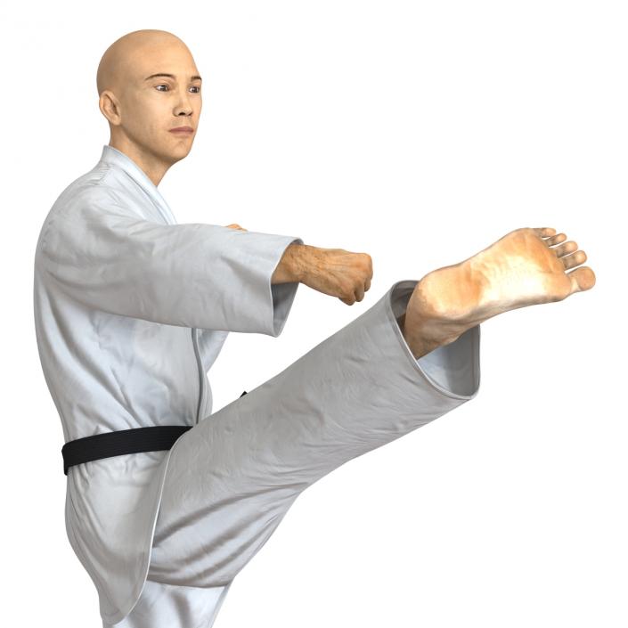 3D model Japanese Karate Fighter Pose 2