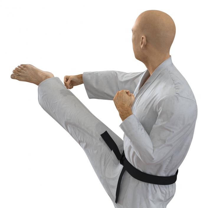 3D model Japanese Karate Fighter Pose 2