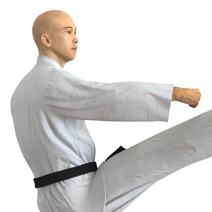 3D model Japanese Karate Fighter Pose 2