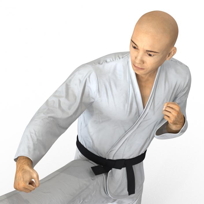 3D model Japanese Karate Fighter Pose 2