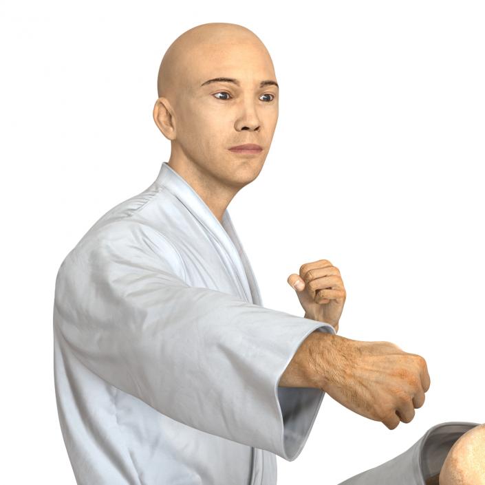 3D model Japanese Karate Fighter Pose 2