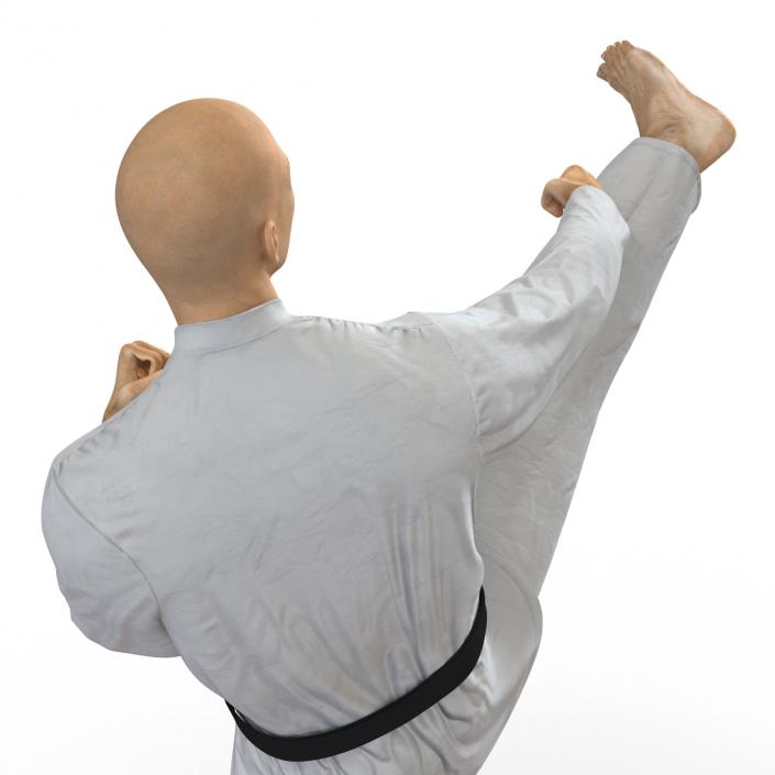 3D model Japanese Karate Fighter Pose 2