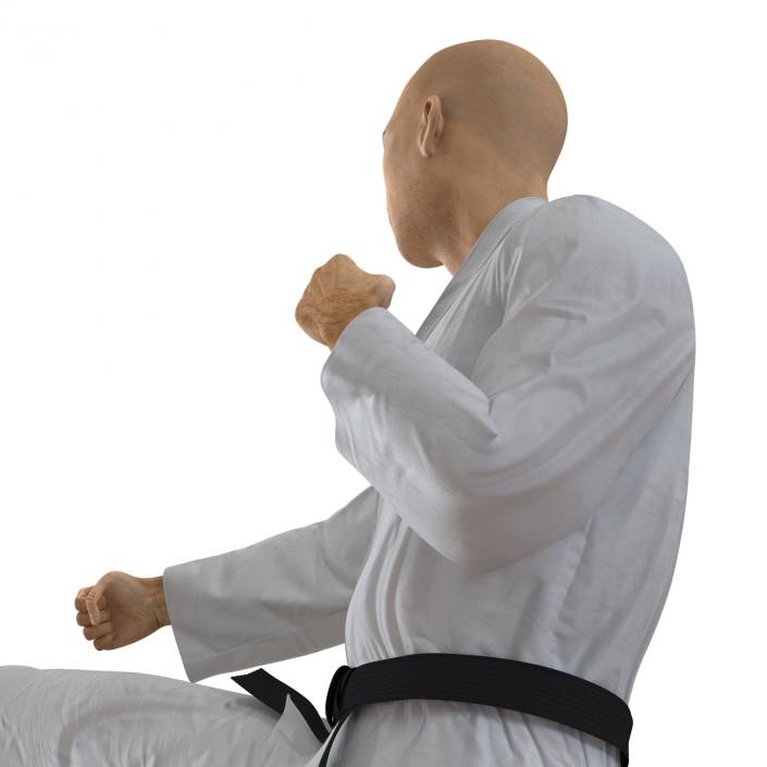 3D model Japanese Karate Fighter Pose 2