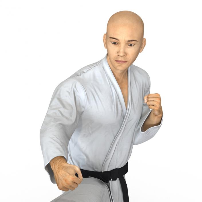 3D model Japanese Karate Fighter Pose 2