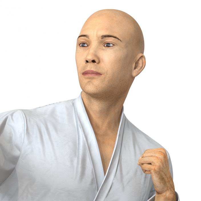 3D model Japanese Karate Fighter Pose 2