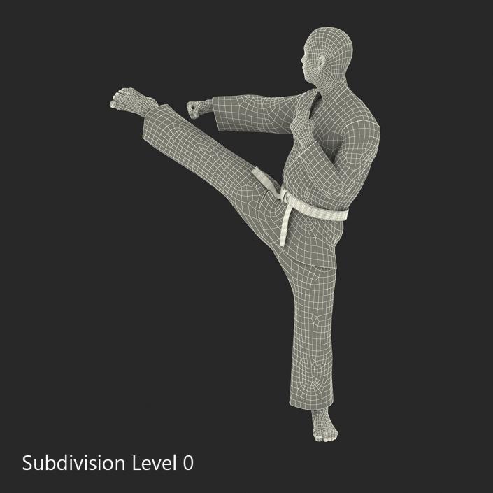 3D model Japanese Karate Fighter Pose 2