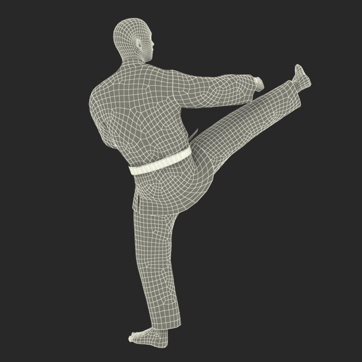 3D model Japanese Karate Fighter Pose 2