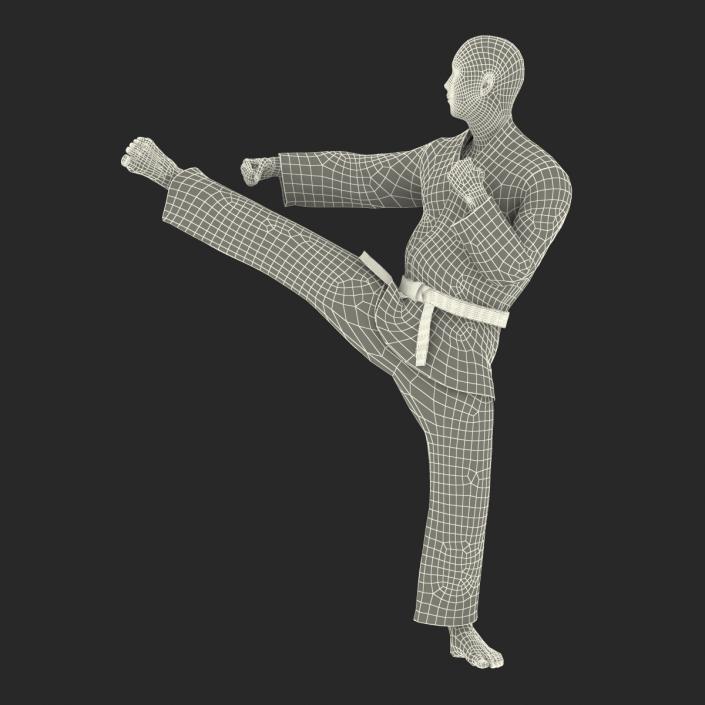 3D model Japanese Karate Fighter Pose 2