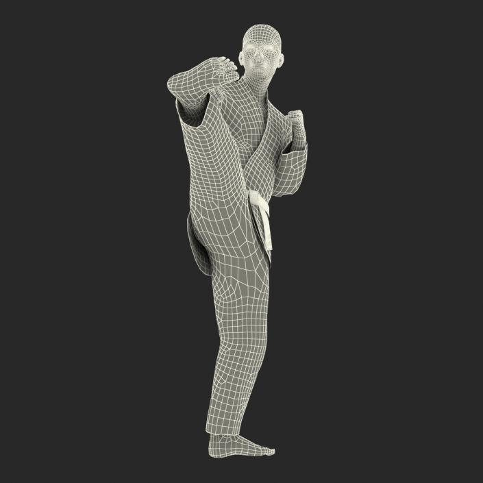 3D model Japanese Karate Fighter Pose 2