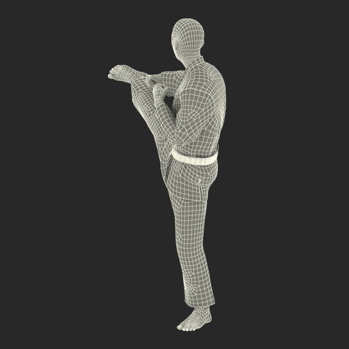 3D model Japanese Karate Fighter Pose 2