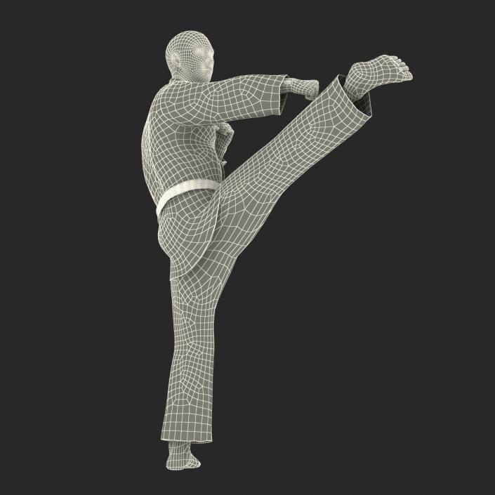 3D model Japanese Karate Fighter Pose 2