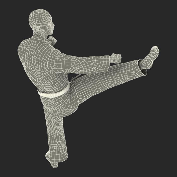 3D model Japanese Karate Fighter Pose 2