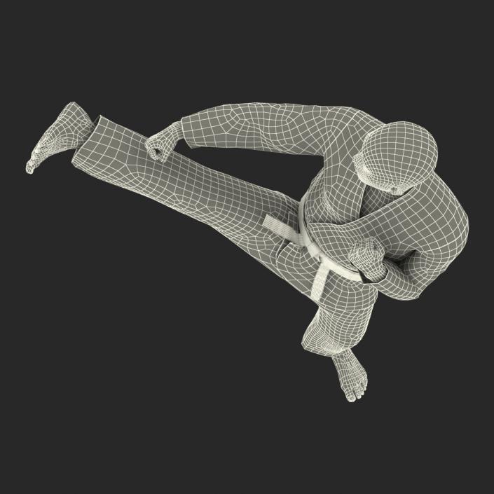 3D model Japanese Karate Fighter Pose 2