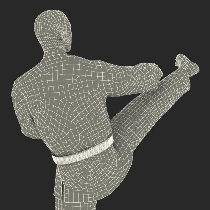 3D model Japanese Karate Fighter Pose 2