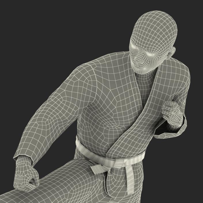 3D model Japanese Karate Fighter Pose 2