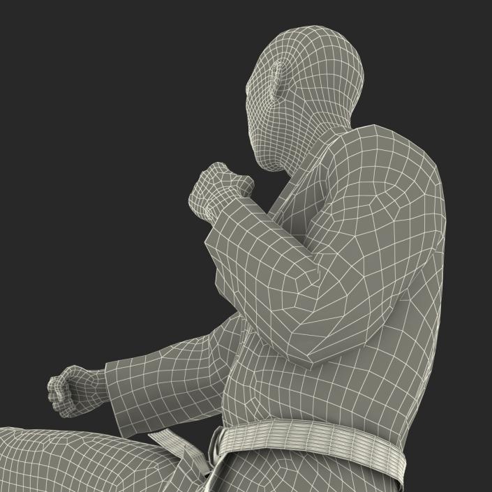 3D model Japanese Karate Fighter Pose 2