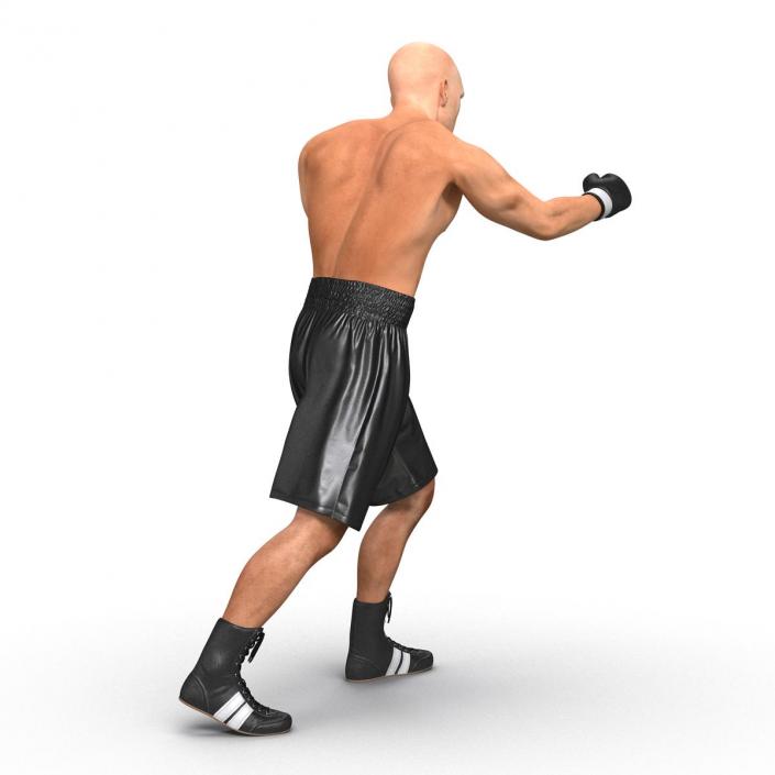 Adult Boxer Man Rigged 2 3D model