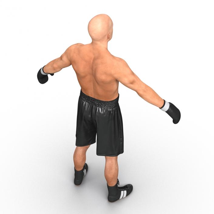 Adult Boxer Man Rigged 2 3D model