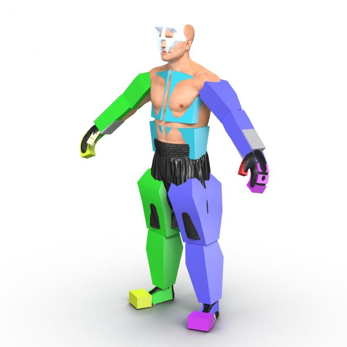 Adult Boxer Man Rigged 2 3D model