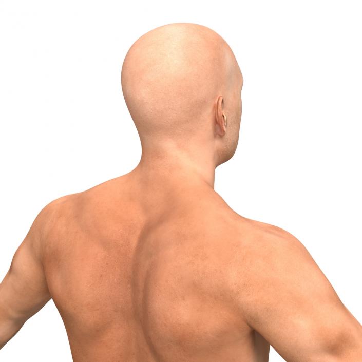 Adult Boxer Man Rigged 2 3D model