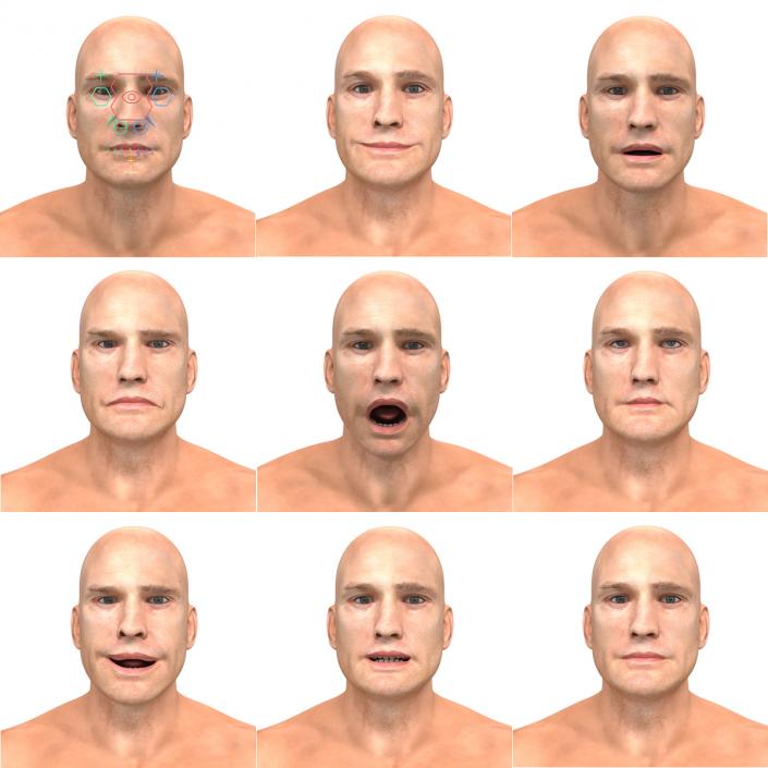 Adult Boxer Man Rigged 2 3D model