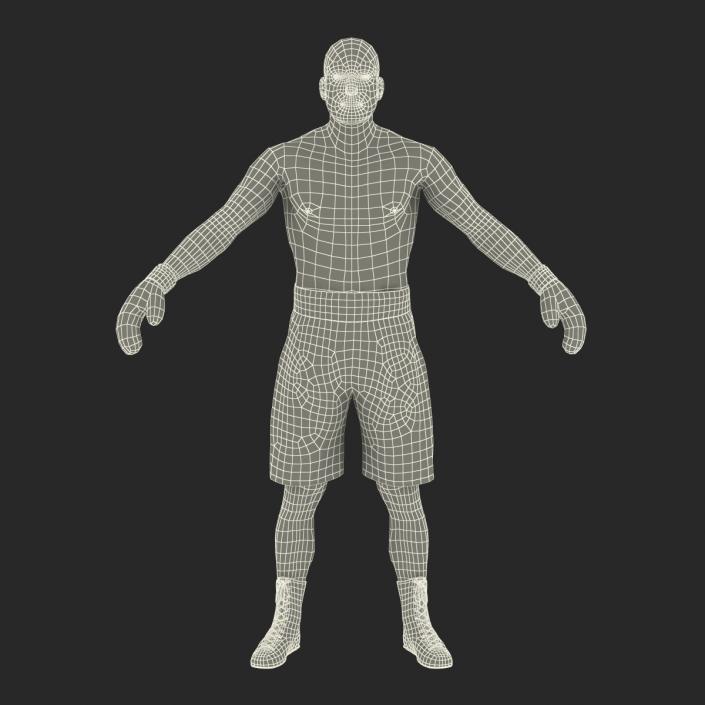 Adult Boxer Man Rigged 2 3D model